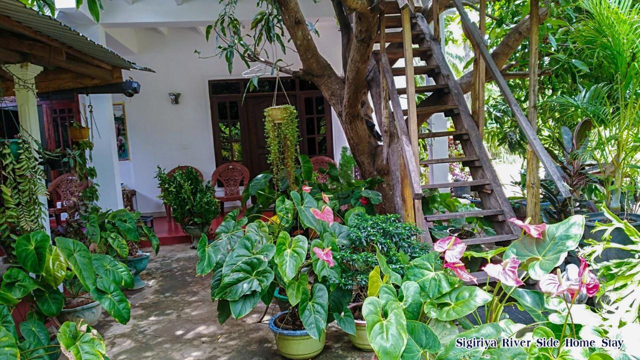 Sigiriya River Side Home Stay Exterior foto