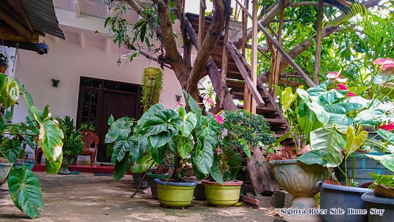 Sigiriya River Side Home Stay Exterior foto